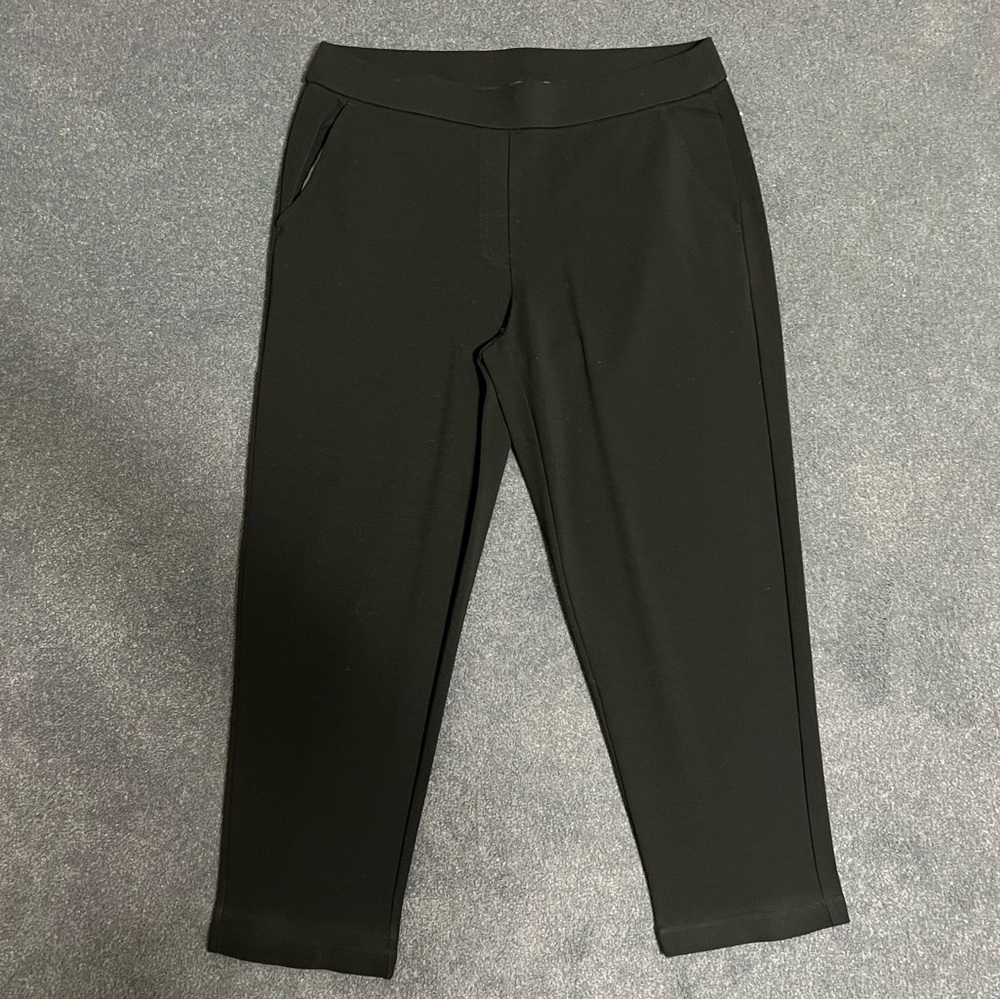 Eileen Fisher Classic Black Double-Knit 2-Pocket Pants - Size Med